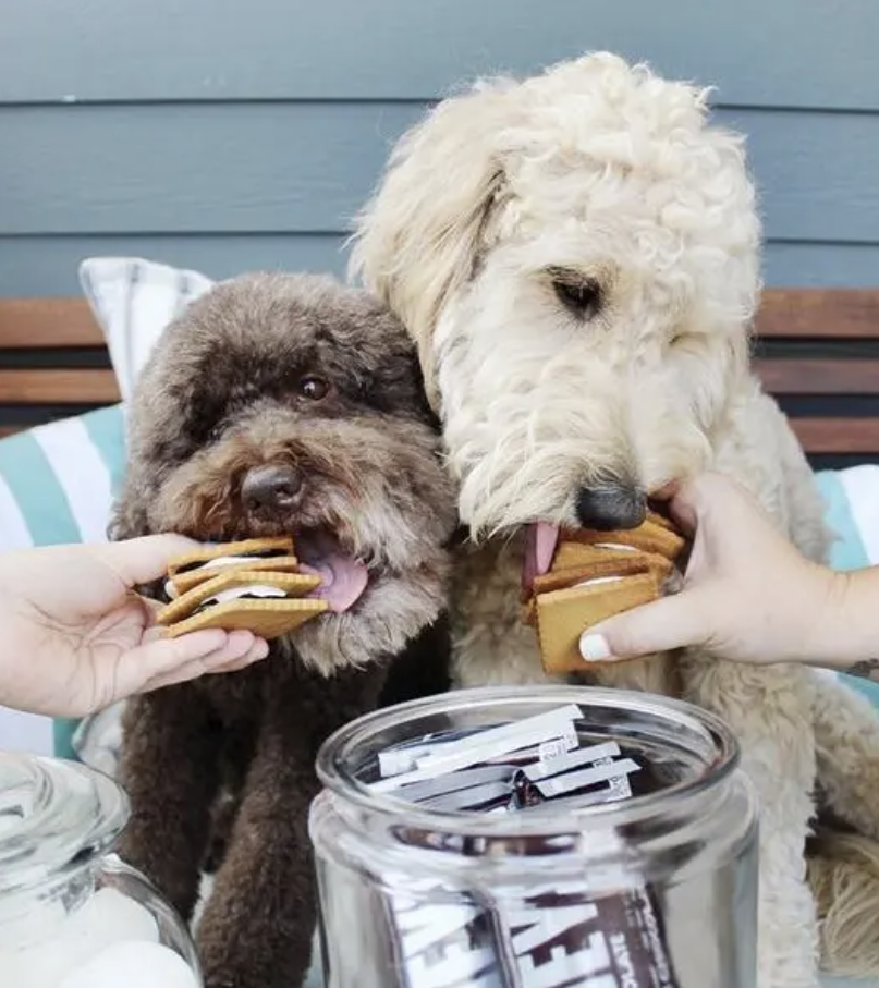 Saturday S'mores - Garden Home