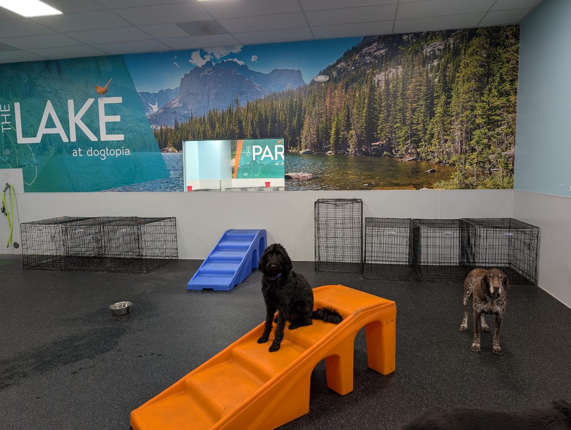 Garden Home Lake Playroom