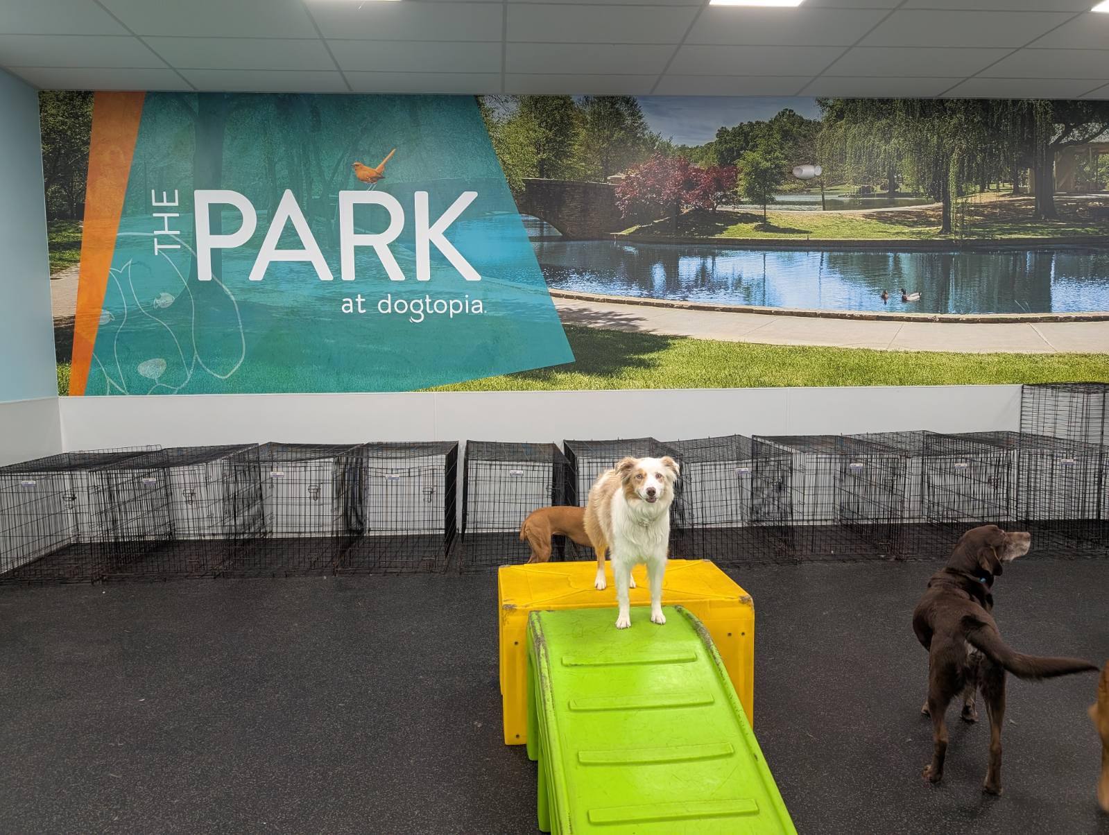 Garden Home Park Playroom