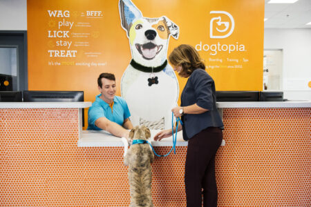 Female customer checking in her dog