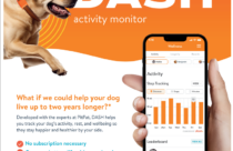 DASH, Fitness, Dog, Daycare