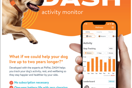 DASH, Fitness, Dog, Daycare