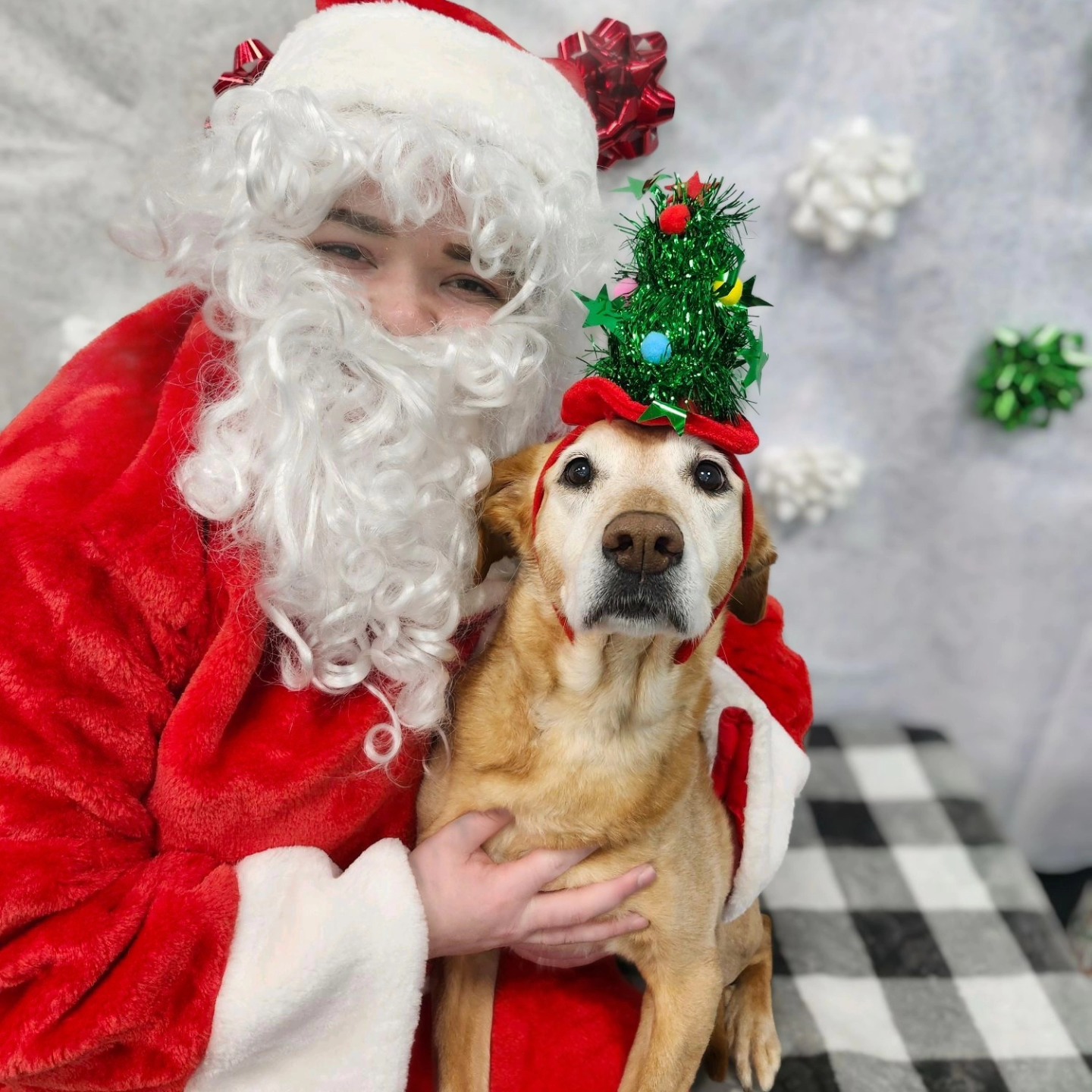 Photos with Santa! - Arlington by The Parks