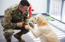 Dogtopia of Summerville is raising money for the Dogtopia Foundation to provide a service dog for a Veteran with PTSD