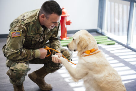 Dogtopia of Summerville is raising money for the Dogtopia Foundation to provide a service dog for a Veteran with PTSD