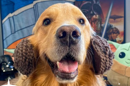 A dog dressed in a Star Wars costume for May the Fourth at Dogtopia of Summerville