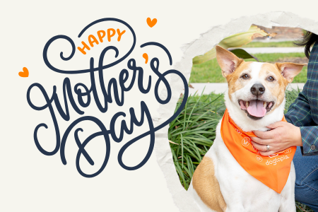 Mother's Day for dog moms at Dogtopia of Summerville