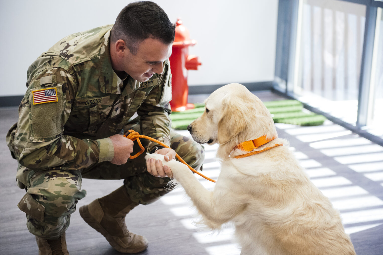 The Dogtopia Foundation in Summerville sponsors service animals for veterans for PTSD