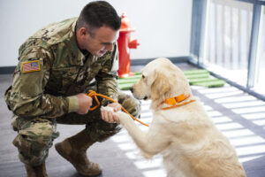 The Dogtopia Foundation in Summerville sponsors service animals for veterans for PTSD
