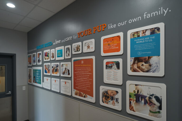 About Dogtopia wall