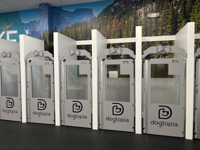 Dog boarding suites at Dogtopia of Summerville