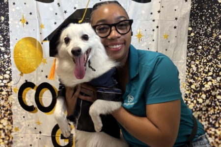 dog training in Summerville, puppy preschool at Dogtopia