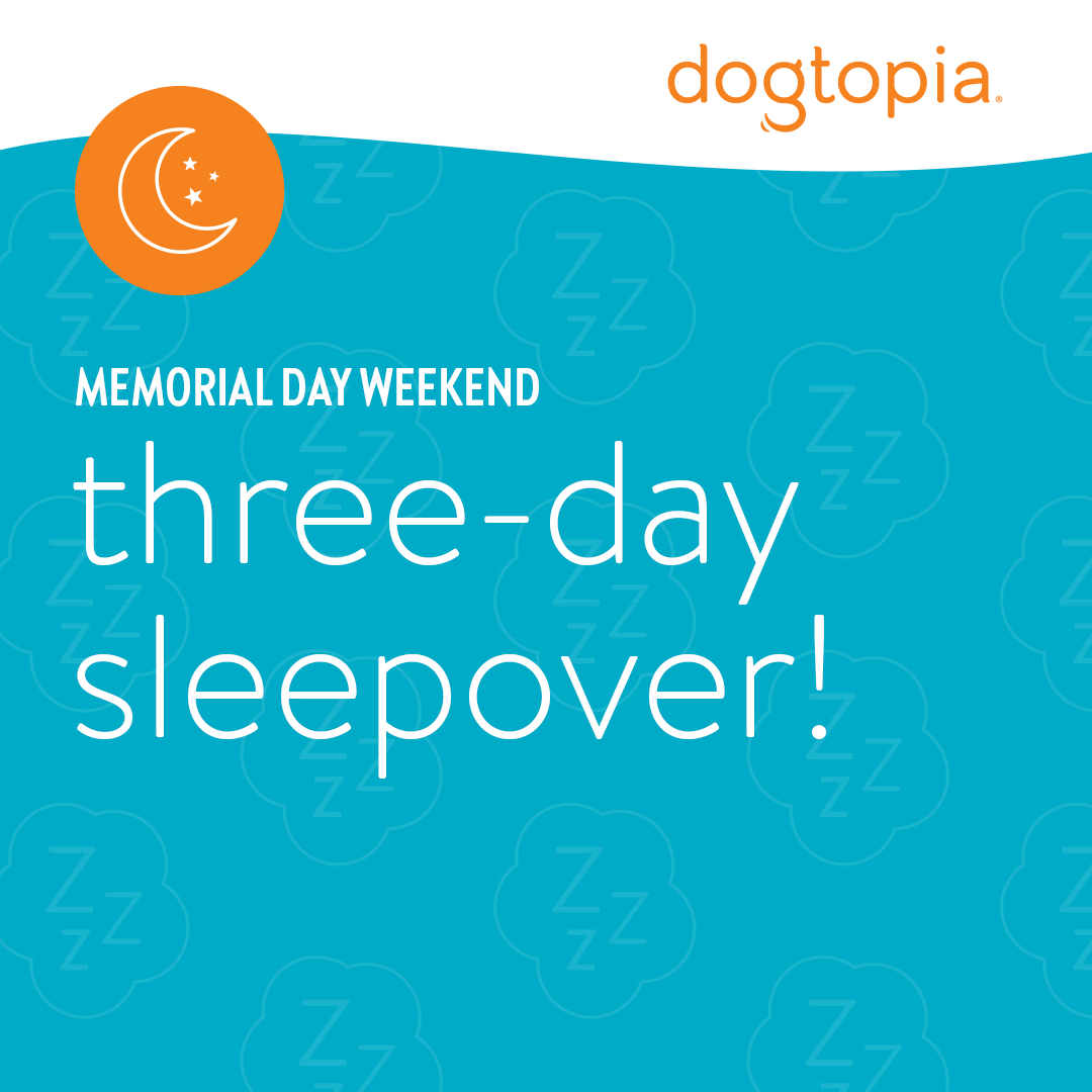 Memorial Day Weekend Sleepover - Brick