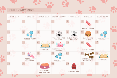 February Calendar