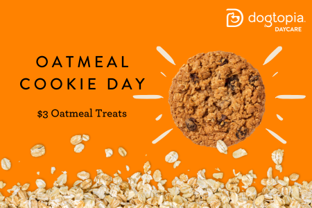 Oatmeal Cookie Day