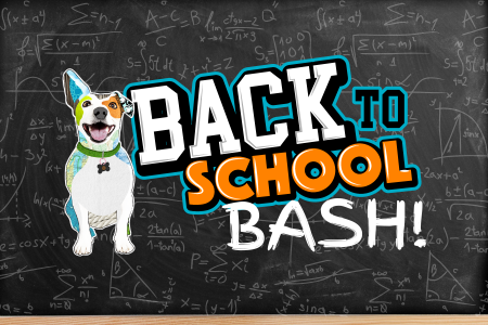 Back to School Bash