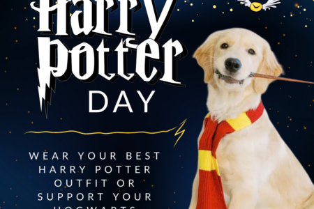 Harry Potter Day