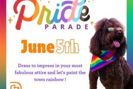 dog daycare, pride, dogtopia, dog boarding, dog spa