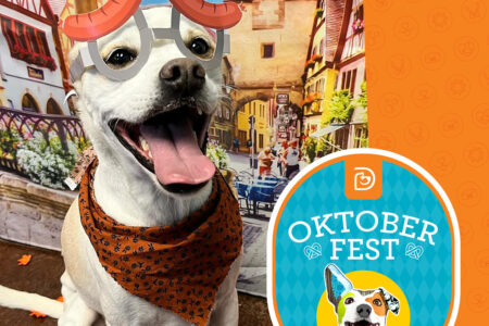 2024_Oktoberfest_Social