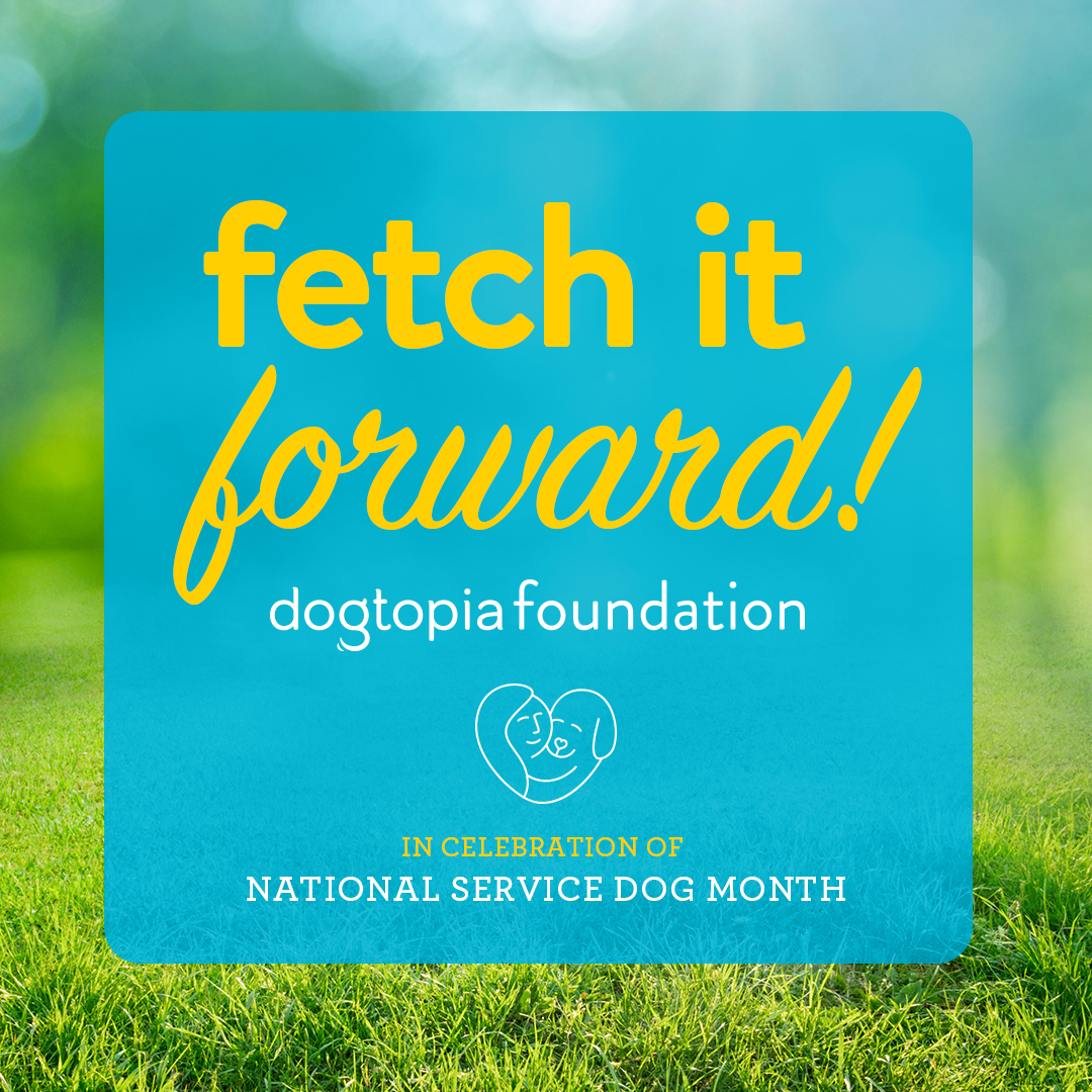 Fetch it Forward! - Fort Myers