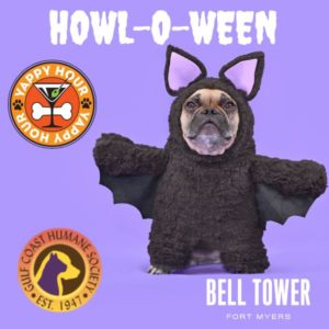 Pup Dressed up as a bat