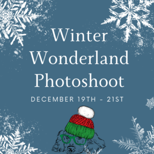 Winter wonderland photoshoot