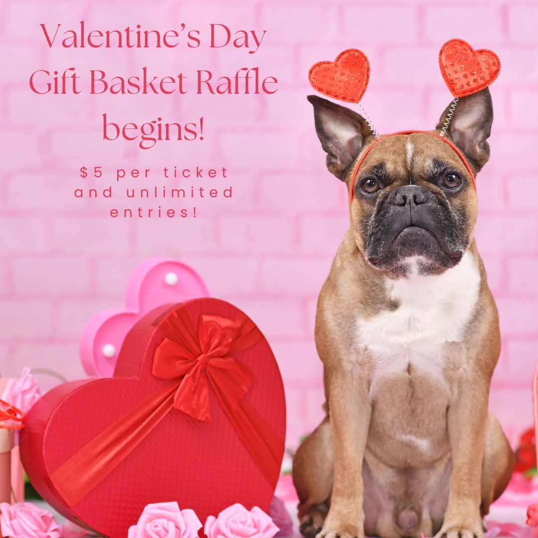 Valentine's Day Raffle Basket - Fort Myers