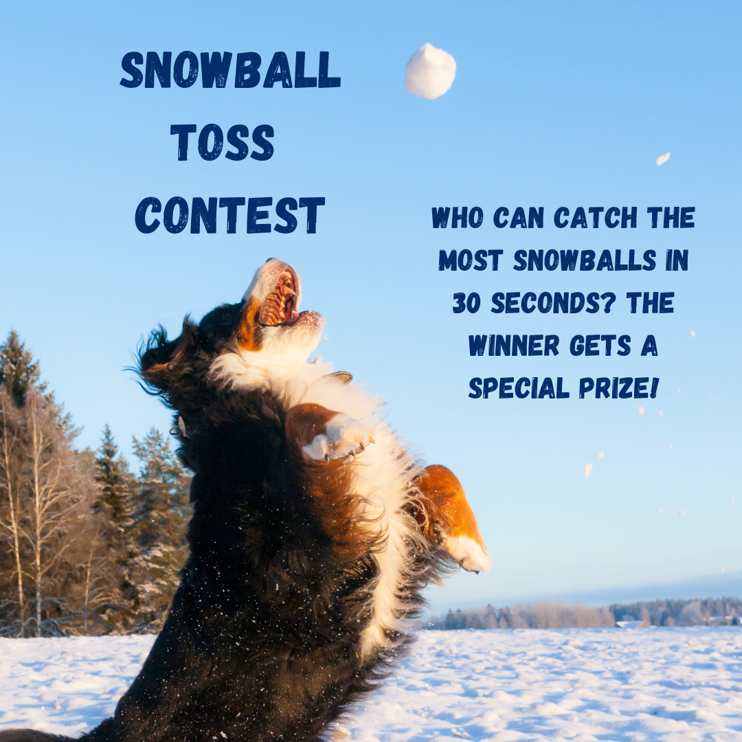 Snowball Toss Contest - Fort Myers