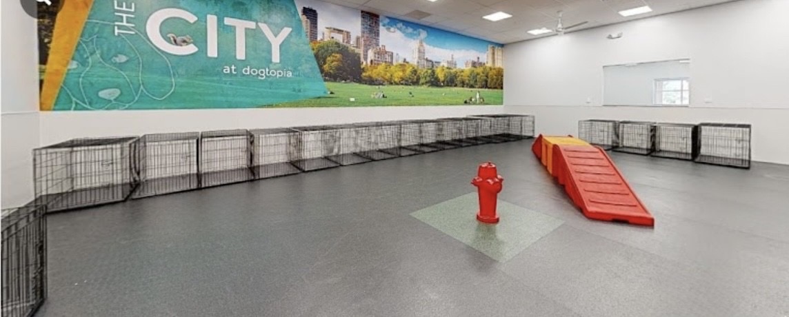 Fort Meyers City Playroom