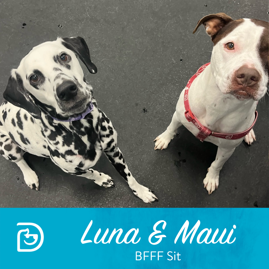 5-28-prom-photos-fun-downtown-cleveland