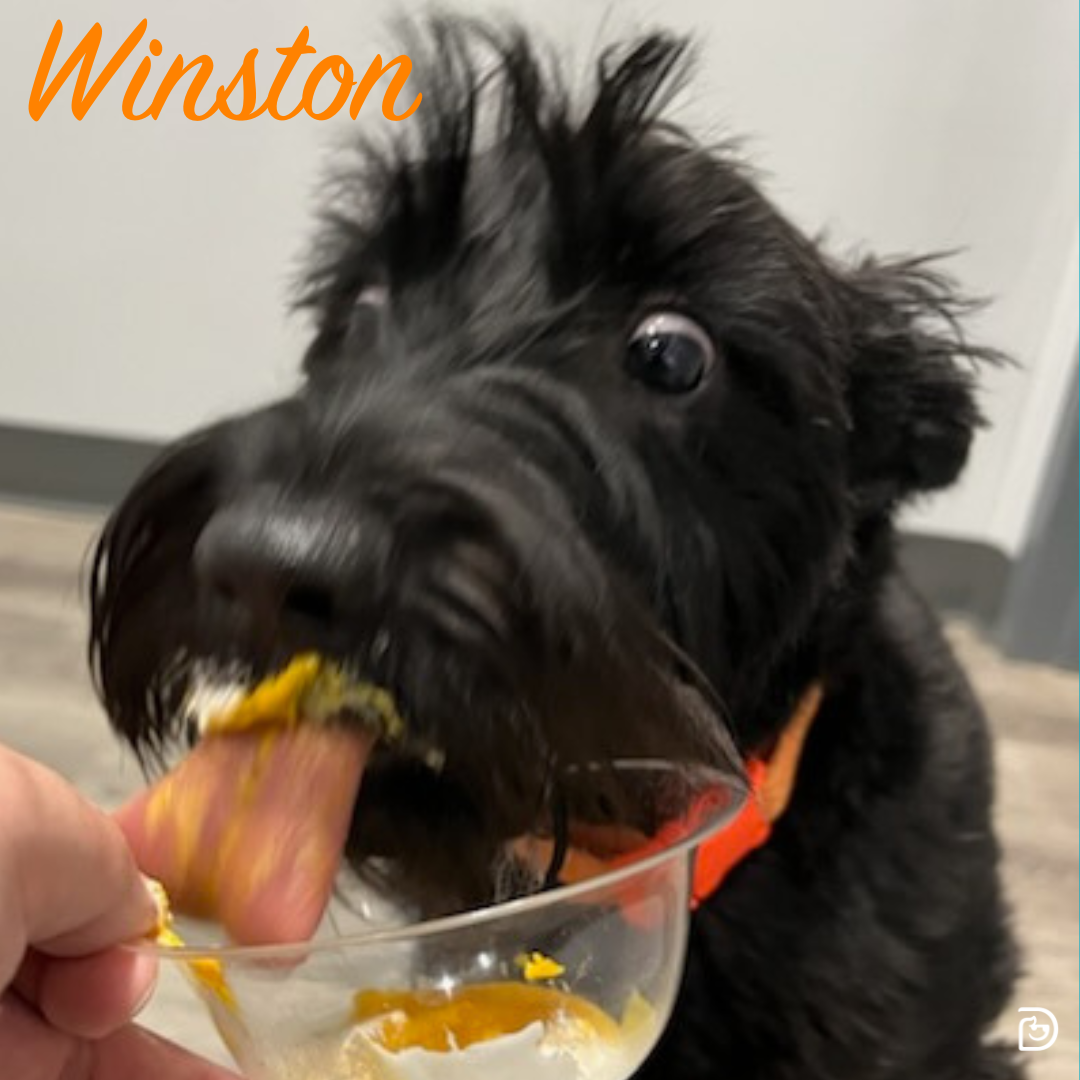 1-24-national-peanut-butter-day-downtown-cleveland