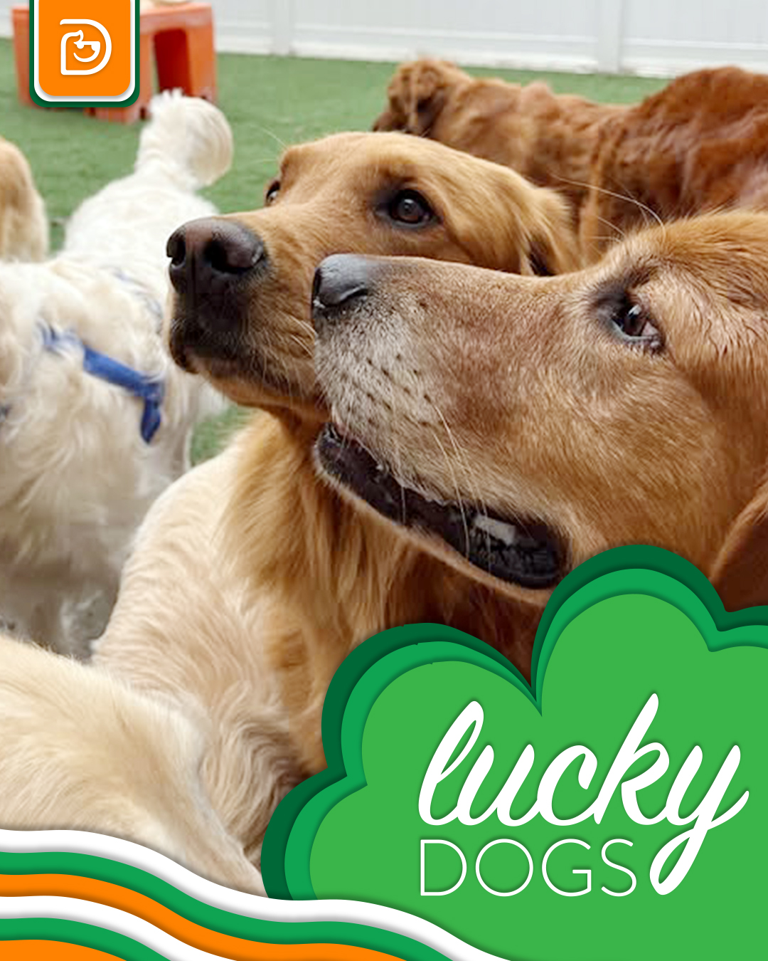 st-patty-s-day-pics-3-14-downtown-cleveland