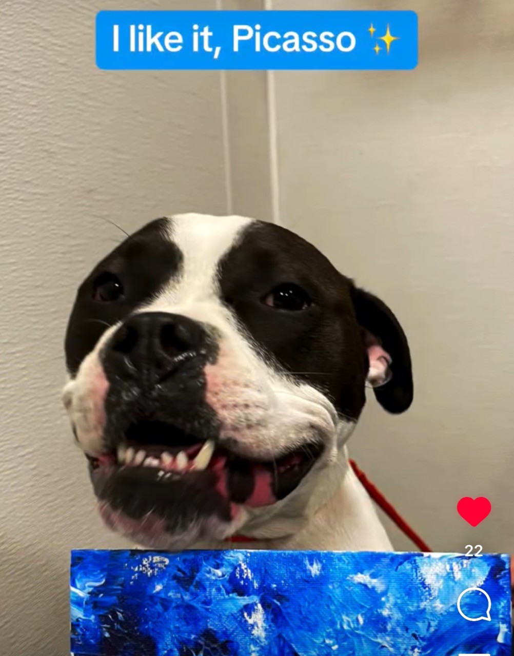 Peanut Butter Picasso 3 5 Downtown Cleveland peanut-butter-picasso-3-5-downtown-cleveland