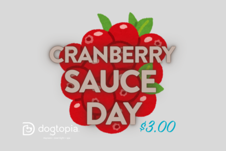 Get in the mood for Thanksgiving!