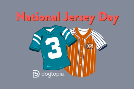 Coming wearing your favorite sports teams!