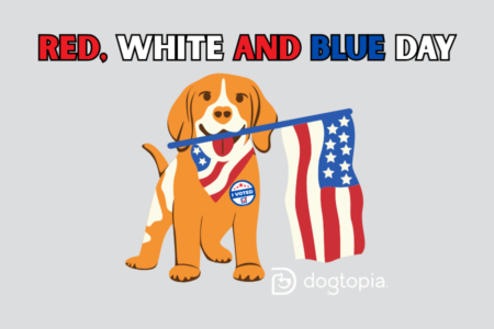 Election Day Dress up at Daycare!