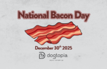 Bacon Lunch Topppers