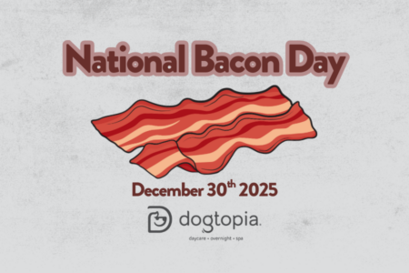 Bacon Lunch Topppers