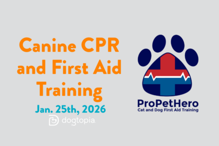 Pro Pet Hero Canine Training