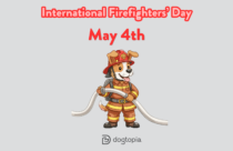 International Firefighters’ Day, dog in firefighters' outfit