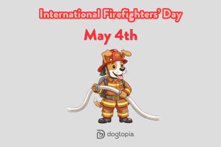 International Firefighters’ Day, dog in firefighters' outfit