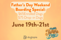 Discount for boarding Father's Day weekend