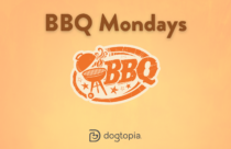 Special lunch on Mondays