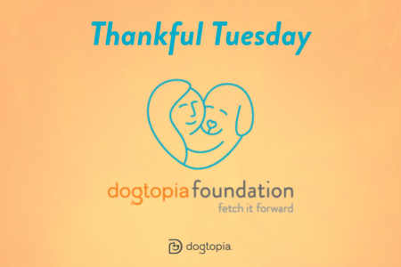 Donations weekly to Dogtopia Foundation