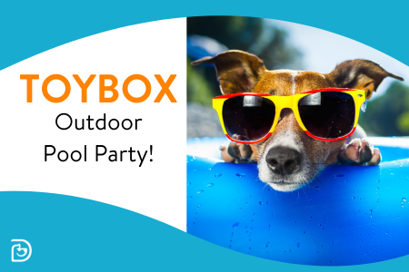 Toybox Pool Party at Dogtopia!