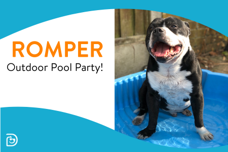 Romper Pool Party