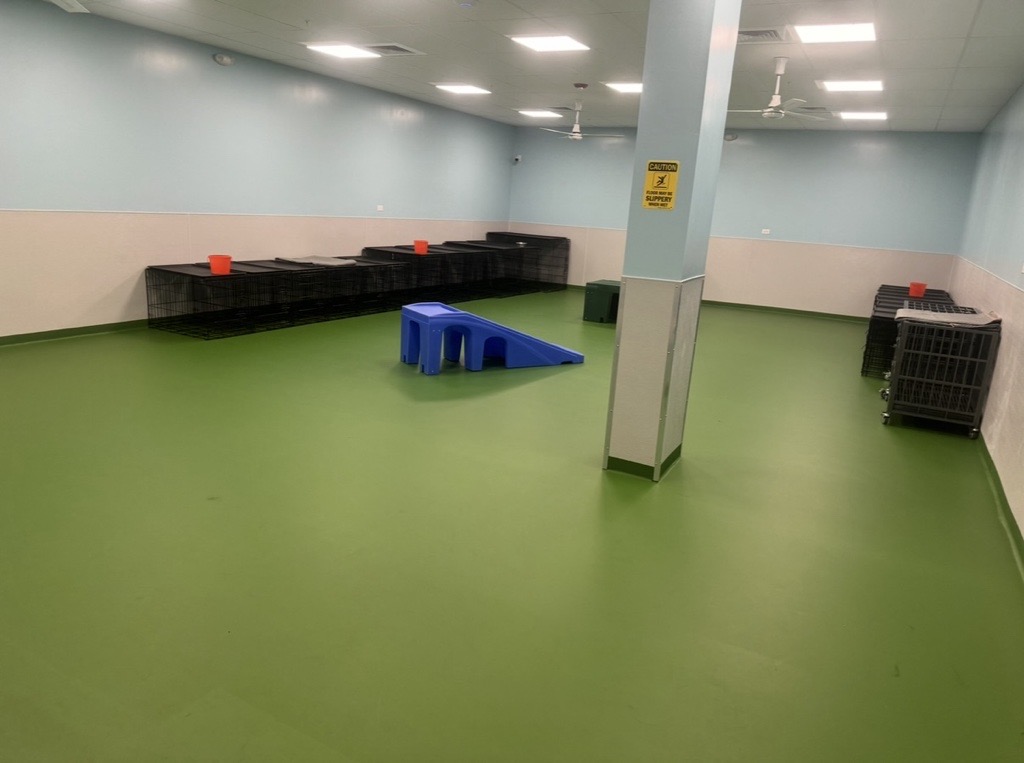 North Hampton Playroom