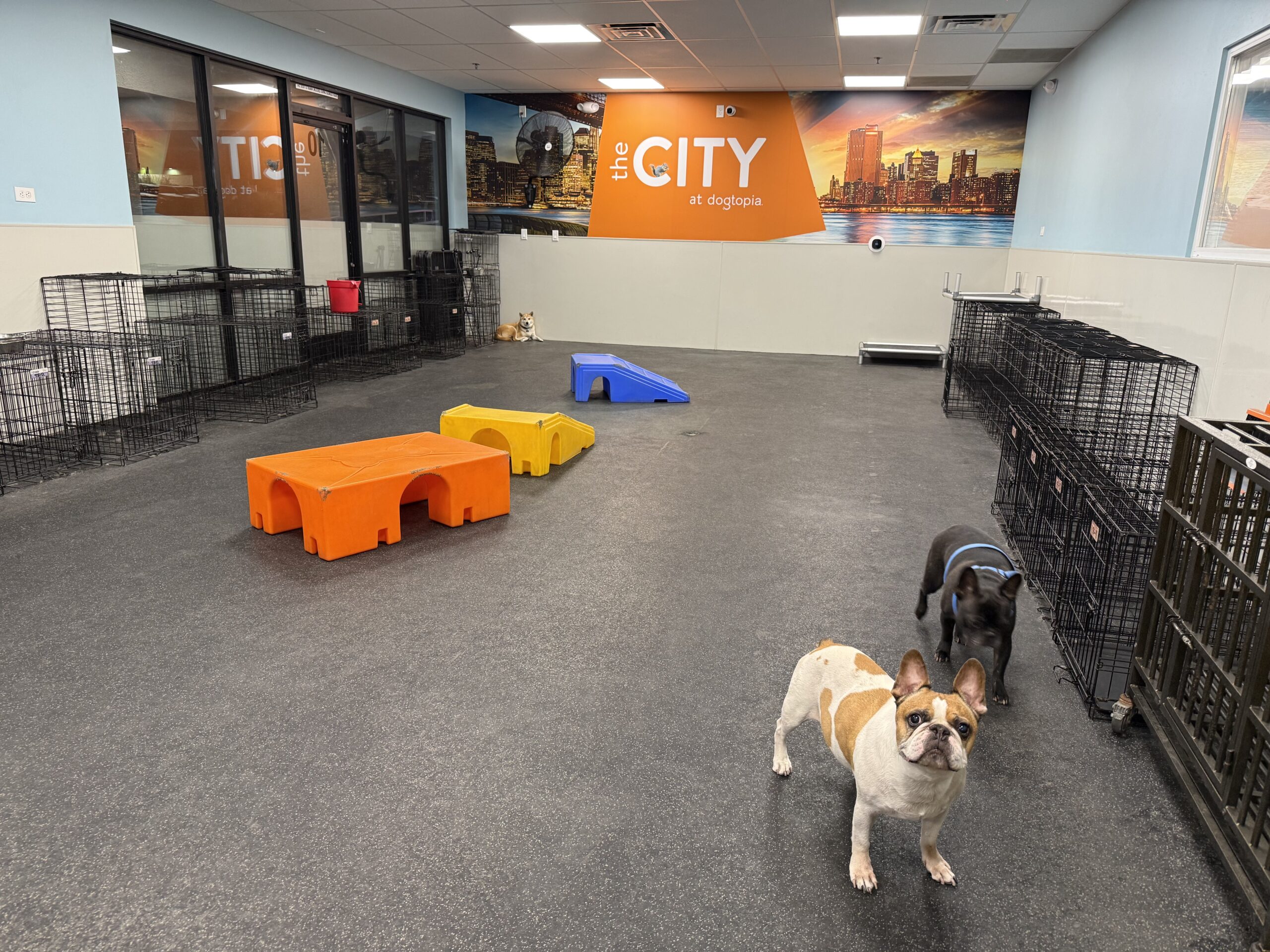 Sun City City Playroom