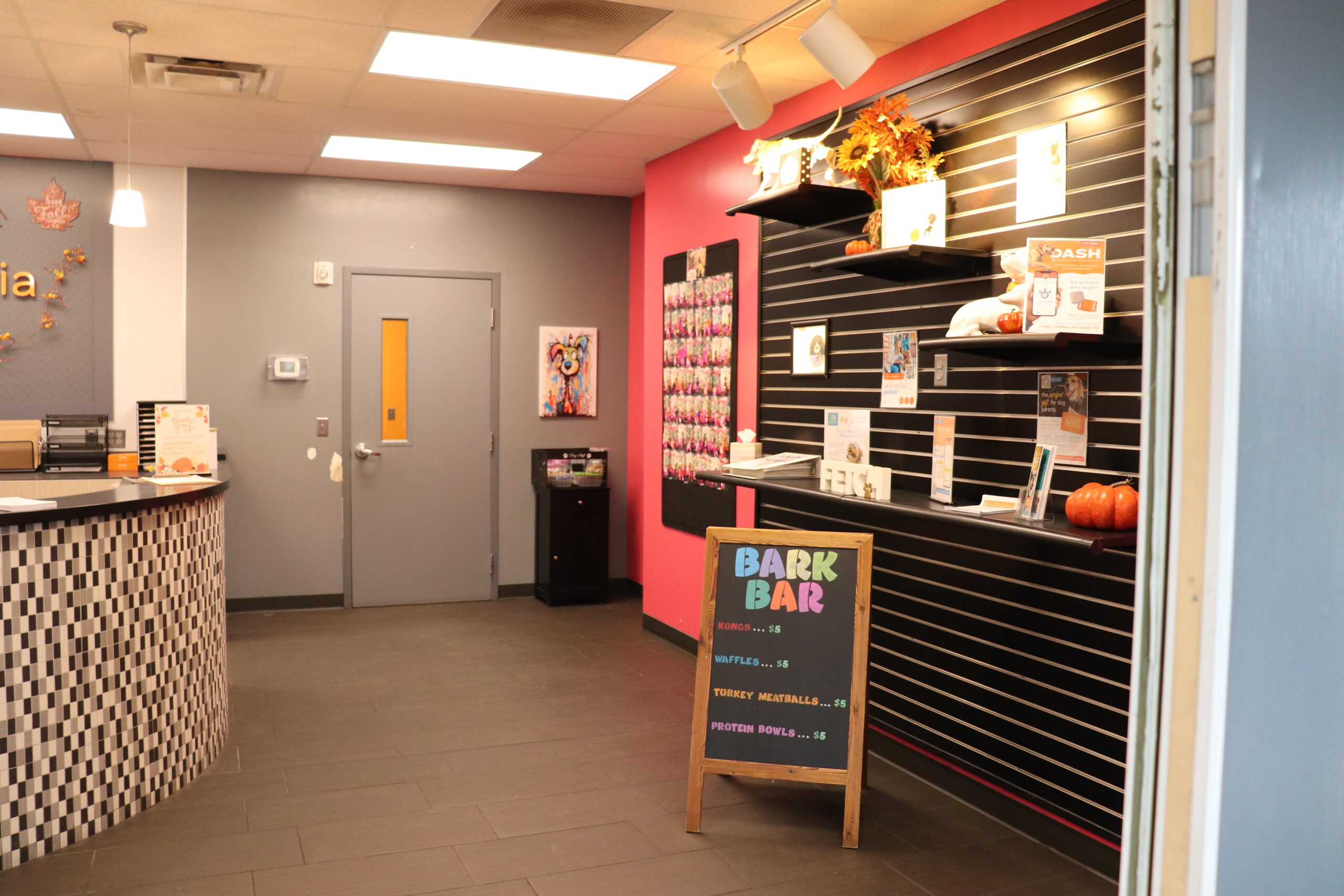 Chester Springs Bark Bar