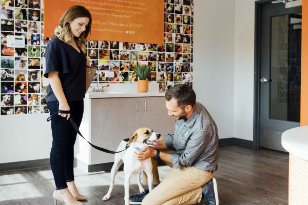 A woman dropping off her dog at daycare